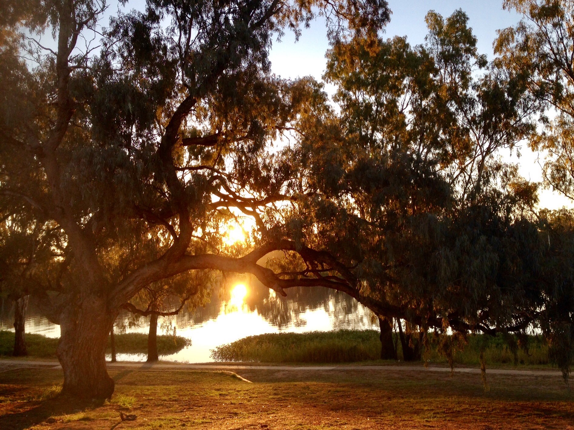 Take a stroll along the beautiful river walkway.